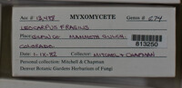Image Associated With the Occurence